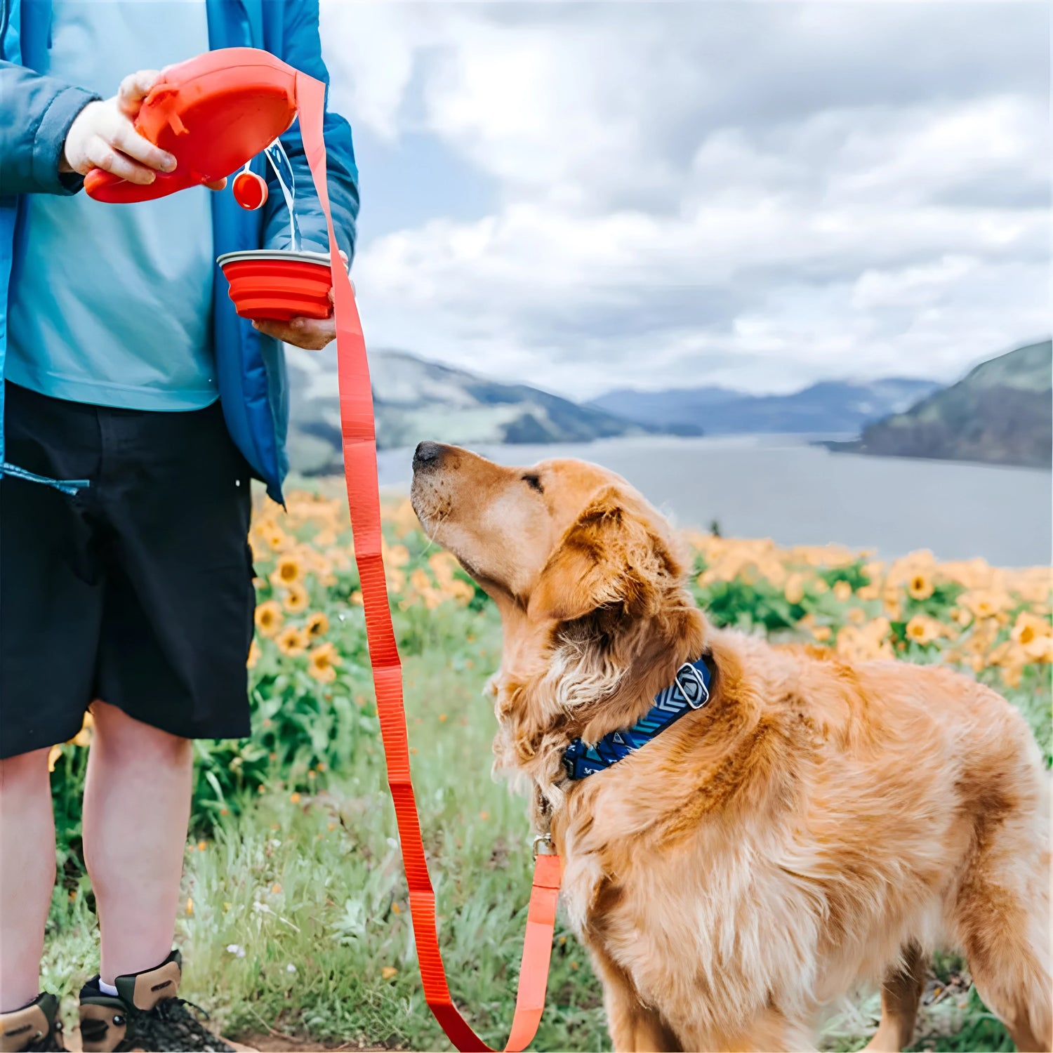 WalkMate 4-in-1 Dog Leash