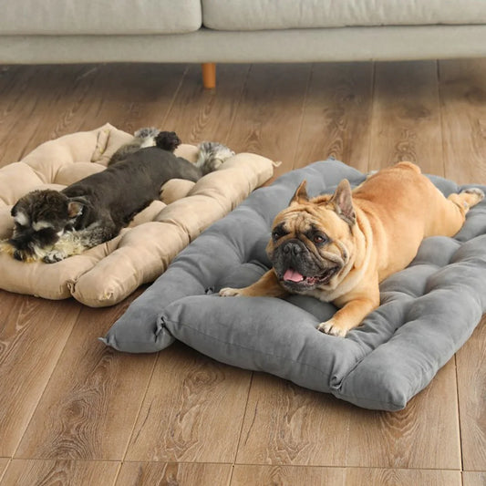 Multifunctional Dog & Cat Bed