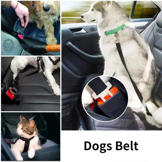 Pet Seatbelt for Car Travel